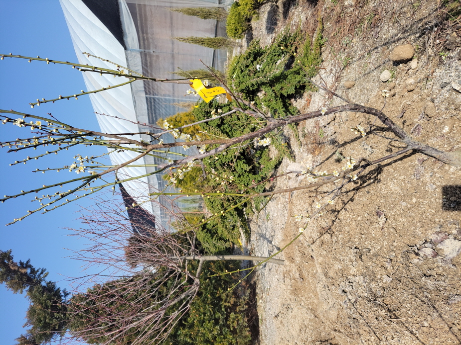 2950055133_YpVeH8qA_5fc4d065f94bb5c19fc4e3d82b3776e55265aa46.jpg 이미지크게보기