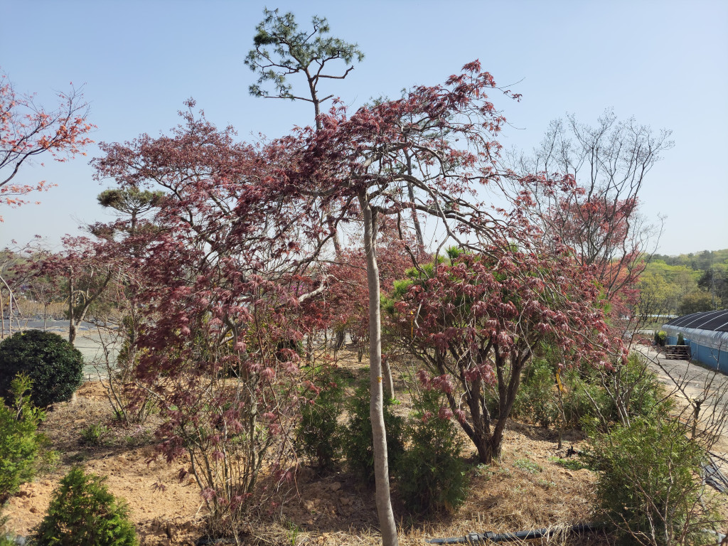 31396258_SQjw5A1y_c4a23e6e42bc1aa6a17e69fcbd6eae06ec5c2a6b.jpg 이미지크게보기