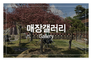 명품조경_메인중간_매장갤러리